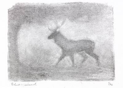 Robert Hainard - Cerf, clair de lune et brouillard - Copyright Fondation Hainard