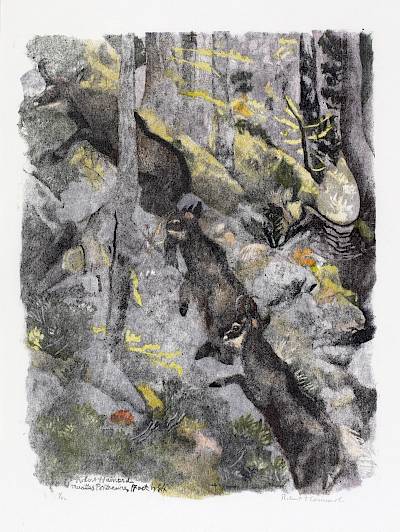 Robert Hainard - Chamois grimpant en forêt - Copyright Fondation Hainard