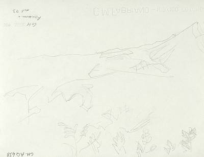verso - Copyright Fondation Hainard