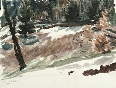 Germaine Hainard-Roten - Les petits bosquets au printemps - Copyright Fondation Hainard
