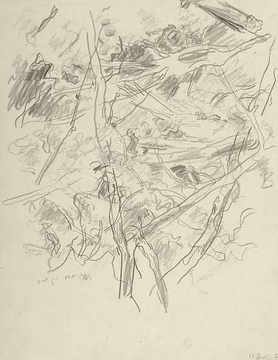 Robert Hainard - Le bain du soir des mésanges à longue queue (croquis) - Copyright Fondation Hainard