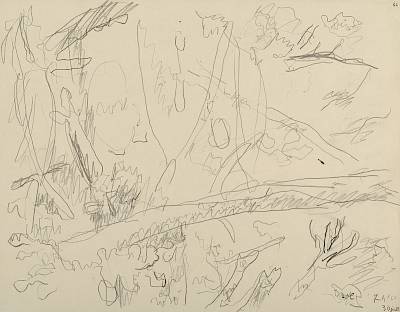 Robert Hainard - Jeune autour et écureuil (croquis) - Copyright Fondation Hainard