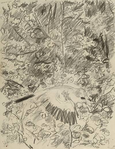Robert Hainard - Geai (croquis) - Copyright Fondation Hainard