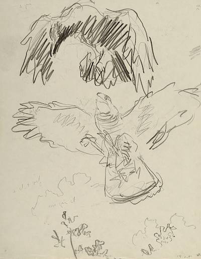 Robert Hainard - Epervier et corneille (croquis) - Copyright Fondation Hainard