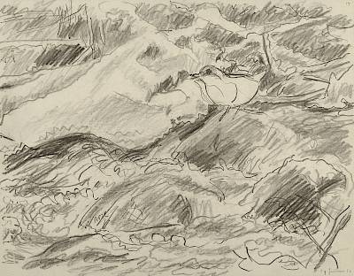 Robert Hainard - Merle d'eau et glaçons (croquis) - Copyright Fondation Hainard