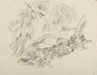 Robert Hainard - Bartavelle chantant (croquis) - Copyright Fondation Hainard