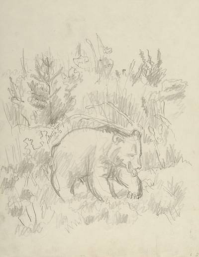 Robert Hainard - Ours en marche (croquis) - Copyright Fondation Hainard