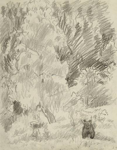 Robert Hainard - L'ours et le bouleau (croquis) - Copyright Fondation Hainard