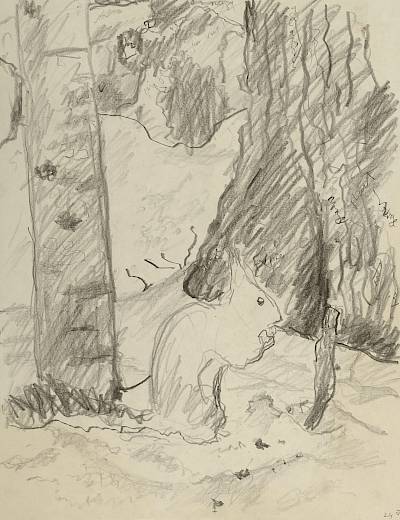 Robert Hainard - Écureuil à sa cache à provisions (croquis) - Copyright Fondation Hainard