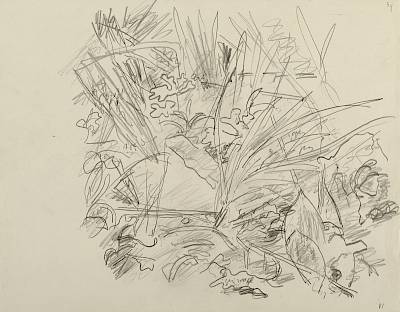 Robert Hainard - Père engoulevent nourrissant (croquis) - Copyright Fondation Hainard