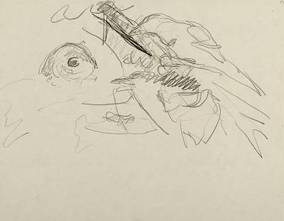 Robert Hainard - Hulotte et pies (croquis) - Copyright Fondation Hainard