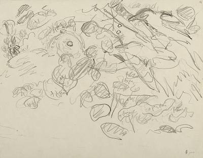 Robert Hainard - Hulotte et pies (croquis) - Copyright Fondation Hainard