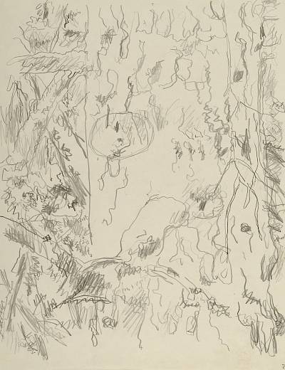 Robert Hainard - Poule gélinotte (croquis) - Copyright Fondation Hainard
