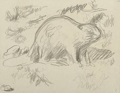 Robert Hainard - Castor au clair de lune (croquis) - Copyright Fondation Hainard