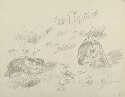 Robert Hainard - Deux ours au clair de lune (croquis) - Copyright Fondation Hainard