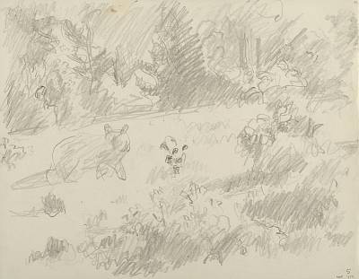 Robert Hainard - Vieil ours au clair de lune (croquis) - Copyright Fondation Hainard