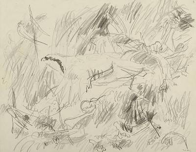 Robert Hainard - Bartavelle s'envolant (croquis) - Copyright Fondation Hainard