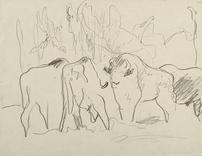 Robert Hainard - Bisons dans la tourmente de neige (croquis) - Copyright Fondation Hainard