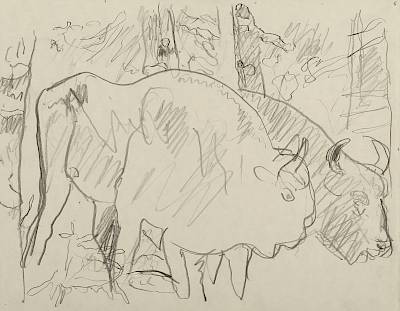 Robert Hainard - Couple de bisons (croquis) - Copyright Fondation Hainard