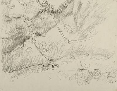 Robert Hainard - Blaireaux, mâle et deux jeunes (croquis) - Copyright Fondation Hainard