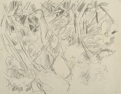 Robert Hainard - Râle sur la glace (croquis) - Copyright Fondation Hainard