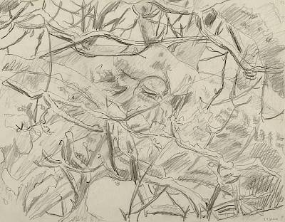 Robert Hainard - Chevêche devant son trou (croquis) - Copyright Fondation Hainard