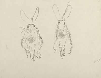 Robert Hainard - Deux lièvres au matin (croquis) - Copyright Fondation Hainard