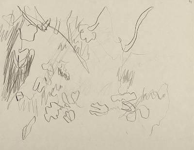 Robert Hainard - Blaireau à sa toilette (croquis) - Copyright Fondation Hainard