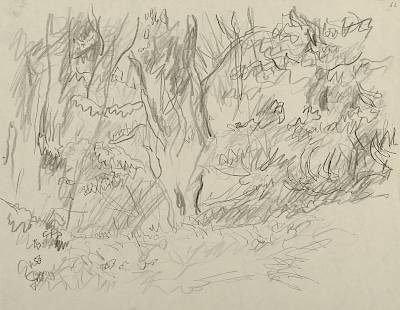 Robert Hainard - Deux martres se poursuivant (croquis) - Copyright Fondation Hainard