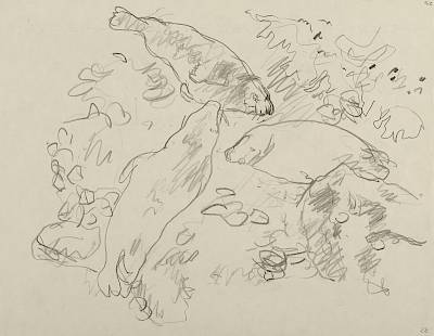 Robert Hainard - Trois phoques gris (croquis) - Copyright Fondation Hainard