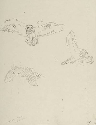Robert Hainard - Trois moyens-ducs et la Grande ourse (croquis) - Copyright Fondation Hainard