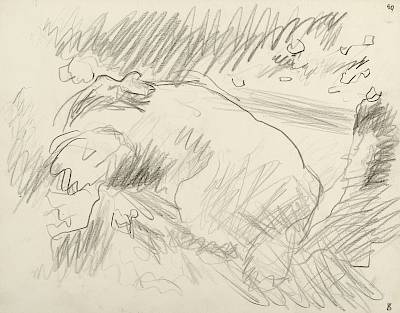 Robert Hainard - Blaireau rentrant sa litière (croquis) - Copyright Fondation Hainard