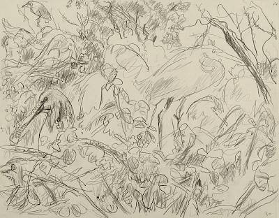 Robert Hainard - La héronnière (croquis) - Copyright Fondation Hainard