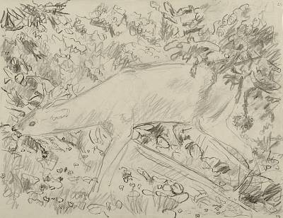 Robert Hainard - Brocard broutant (croquis) - Copyright Fondation Hainard