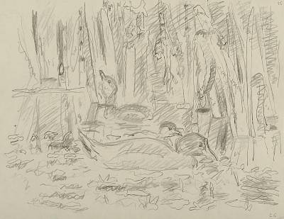 Robert Hainard - Famille de poules d'eau (croquis) - Copyright Fondation Hainard
