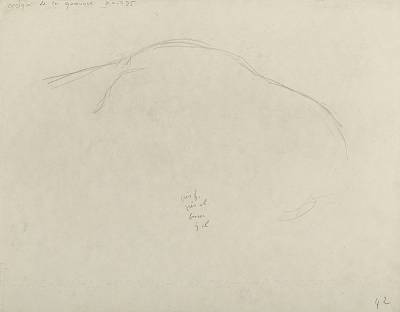 verso - Copyright Fondation Hainard