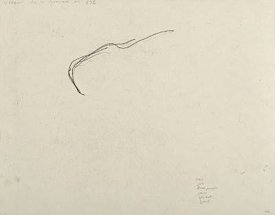 verso - Copyright Fondation Hainard