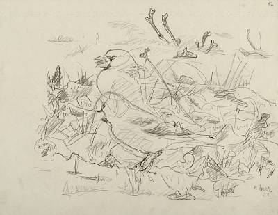 Robert Hainard - Deux gros-becs (croquis) - Copyright Fondation Hainard