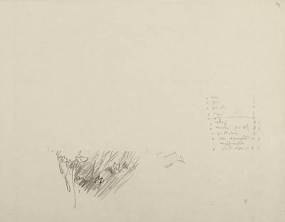 Robert Hainard - Biset (croquis) - Copyright Fondation Hainard