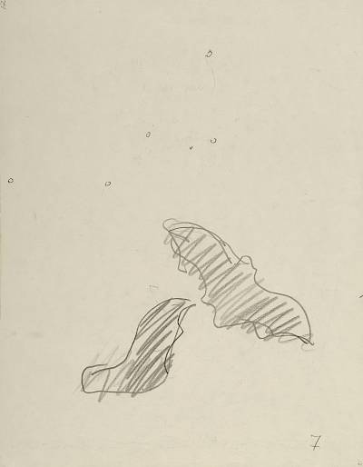 Robert Hainard - Deux chauves-souris et Cassiopée (croquis) - Copyright Fondation Hainard