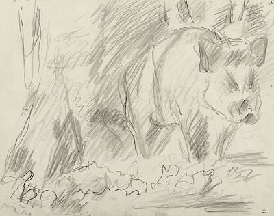 Robert Hainard - Le solitaire au gros fayard (croquis) - Copyright Fondation Hainard