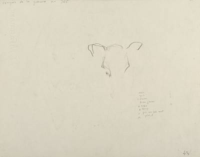 verso - Copyright Fondation Hainard