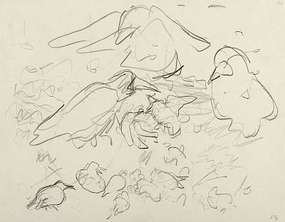 Robert Hainard - Freux, corneilles, étourneaux, pinsons du Nord (croquis) - Copyright Fondation Hainard
