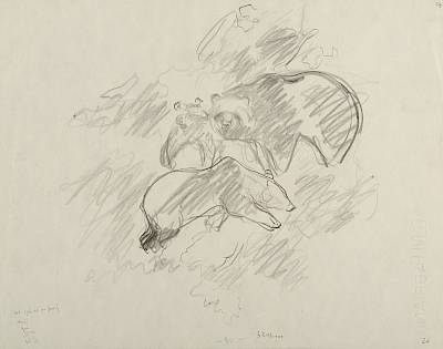Robert Hainard - Ours et ses jeunes (croquis) - Copyright Fondation Hainard