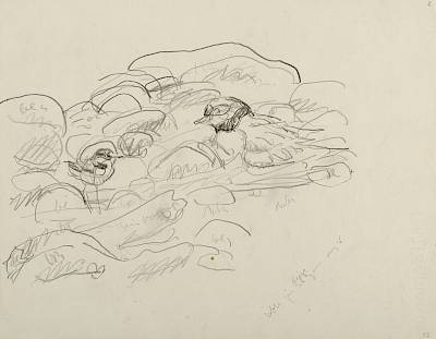 Robert Hainard - Gravelot et poussins (croquis) - Copyright Fondation Hainard