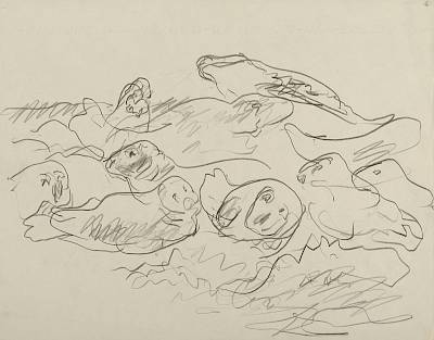 Robert Hainard - Phoques gris sur un écueil (croquis) - Copyright Fondation Hainard