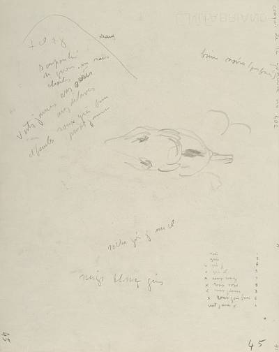 verso - Copyright Fondation Hainard