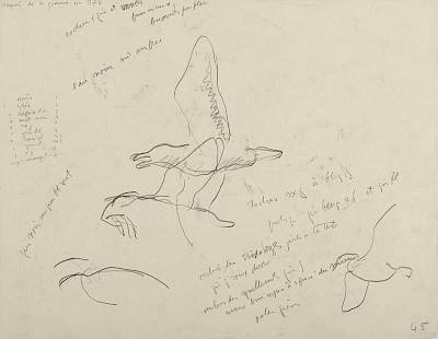 verso - Copyright Fondation Hainard