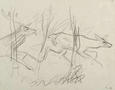 Robert Hainard - Cerf poursuivant une biche (croquis) - Copyright Fondation Hainard
