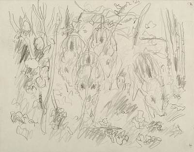 Robert Hainard - Quatre petits marcassins (croquis) - Copyright Fondation Hainard